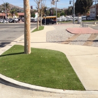 Artificial Grass Carpet Fullerton, California Landscaping, Commercial Landscape