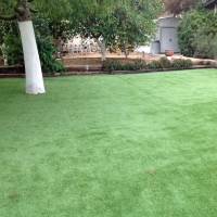 Artificial Grass Leona Valley, California Landscaping Business, Backyard Design