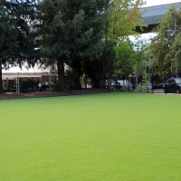 Artificial Grass Lynwood, California Landscape Design, Commercial Landscape