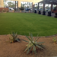 Artificial Grass San Marino, California Landscape Ideas, Commercial Landscape