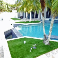 Artificial Lawn Ford City, California Landscape Ideas, Pool Designs