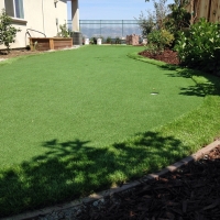 Artificial Lawn Sisquoc, California Landscape Design, Backyard