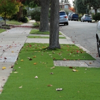 Artificial Turf Ballard, California Landscape Design, Front Yard Design