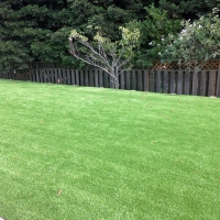 Artificial Turf Norwalk, California Landscaping, Backyard Ideas