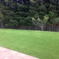 Artificial Turf Rosemead, California Design Ideas, Backyard Landscaping