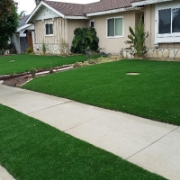 Artificial Turf Willowbrook, California Rooftop, Front Yard Ideas