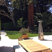 Fake Grass Carpet Rosedale, California Landscape Design, Backyard Garden Ideas