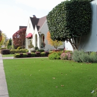 Fake Grass Inglewood, California Lawns, Small Front Yard Landscaping