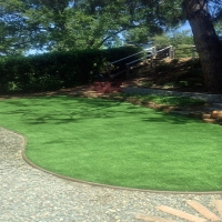 Fake Grass Montclair, California Design Ideas, Backyard Design