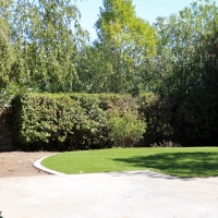 Fake Lawn Compton, California Gardeners, Backyard Designs