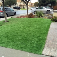 Fake Lawn Manhattan Beach, California Lawn And Garden, Front Yard