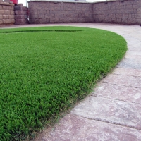 Fake Lawn Whittier, California Pet Grass, Small Front Yard Landscaping