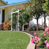 Fake Turf Belvedere, California Landscaping Business, Front Yard