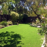 Faux Grass Gardena, California Landscape Ideas, Backyard Makeover