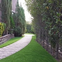 Faux Grass Montclair, California Landscape Ideas, Front Yard Landscaping Ideas