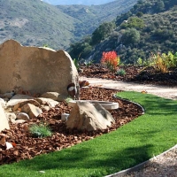 Grass Carpet Cudahy, California Gardeners, Front Yard Landscaping Ideas