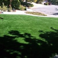 Grass Carpet La Puente, California Home And Garden, Front Yard Landscaping Ideas