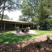 Grass Carpet West Hollywood, California Lawn And Garden, Backyard