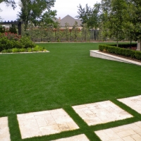 Grass Turf Lebec, California Landscape Ideas, Backyard Designs