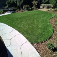 Grass Turf Newport Beach, California Roof Top, Front Yard Landscaping