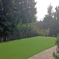 Grass Turf Palmdale, California Lawns, Backyard Design