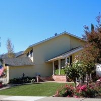 Grass Turf Pine Mountain Club, California Home And Garden, Front Yard Design