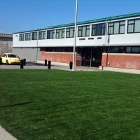 Grass Turf Solvang, California Rooftop, Commercial Landscape