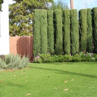 Grass Turf Taft, California Roof Top, Small Front Yard Landscaping