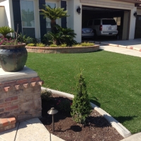 Green Lawn Lamont, California Landscape Ideas, Front Yard Ideas