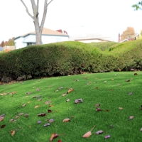 How To Install Artificial Grass Las Flores, California Design Ideas, Front Yard Ideas