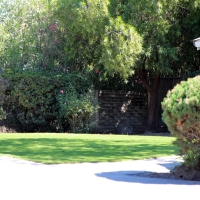 Lawn Services San Pedro, California Dog Parks, Front Yard