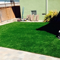 Outdoor Carpet Cuyama, California Dog Grass, Backyard