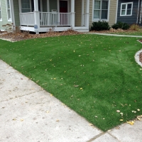 Outdoor Carpet Littlerock, California Lawn And Garden, Front Yard Landscape Ideas