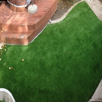 Plastic Grass Burbank, California City Landscape, Backyard Design