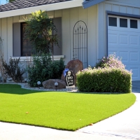 Plastic Grass Monterey Park, California Design Ideas, Front Yard Landscape Ideas