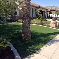 Plastic Grass South Pasadena, California Landscaping Business, Front Yard Landscape Ideas