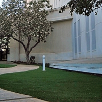 Synthetic Grass Artesia, California City Landscape, Front Yard