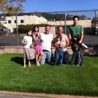 Synthetic Grass Chino Hills, California Landscape Design, Commercial Landscape