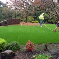 Synthetic Grass Cost East La Mirada, California Design Ideas, Backyard Design