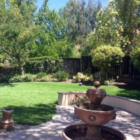 Synthetic Grass Cost South Taft, California Backyard Playground, Backyard Design