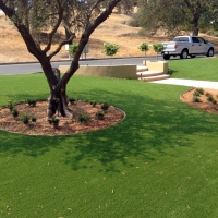 Synthetic Grass Cost West Hills, California Roof Top, Small Front Yard Landscaping