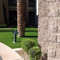 Synthetic Turf Carson, California Landscape Photos, Commercial Landscape