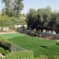 Synthetic Turf East La Mirada, California Best Indoor Putting Green, Backyard Landscaping Ideas