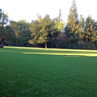 Synthetic Turf Long Beach, California Landscape Photos, Recreational Areas