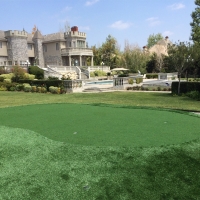 Turf Grass Isla Vista, California City Landscape, Landscaping Ideas For Front Yard