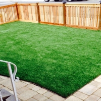 Turf Grass Marina del Rey, California Backyard Deck Ideas, Backyard Garden Ideas