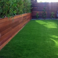 Turf Grass Nipomo, California Landscape Design, Backyard Landscape Ideas