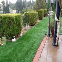 Turf Grass West Rancho Dominguez, California Landscaping Business, Backyard Landscaping Ideas