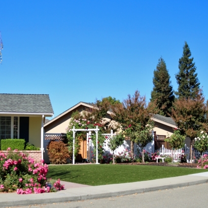 Artificial Grass Carpet West Whittier-Los Nietos, California Landscape Photos, Front Yard Ideas