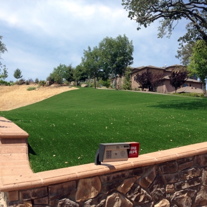 Artificial Grass Inglewood, California Landscape Photos, Small Front Yard Landscaping